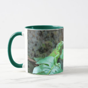 Grönt iguana mugg