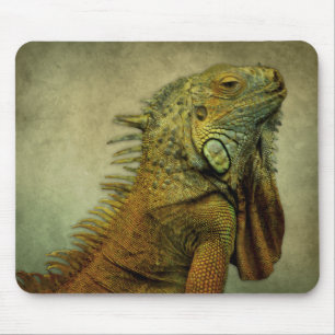 Grönt Iguana Musmatta