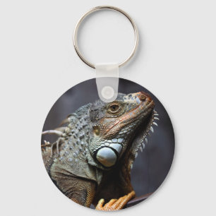 Grönt iguana porträtt nyckelring