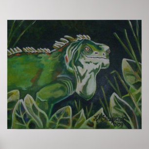 Grönt Iguana Poster