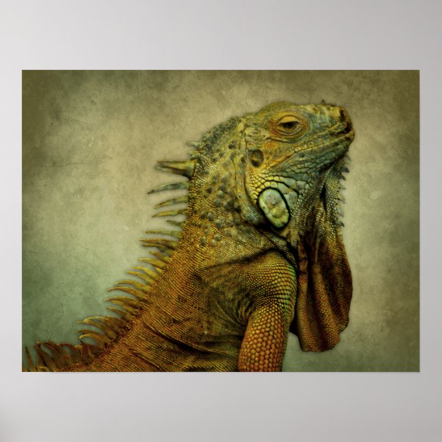 Grönt Iguana Poster (Framsidan)