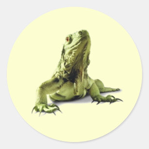 Grönt Iguana Stickers Runt Klistermärke