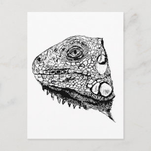 Grönt iguana vykort