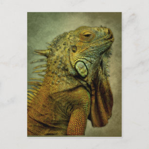 Grönt Iguana Vykort