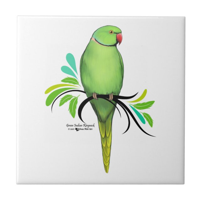 Grönt Indian Ringhead Parrot Kakelplatta (Framsidan)
