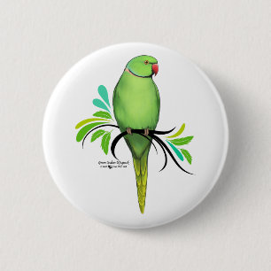 Grönt Indian Ringhead Parrot Knapp