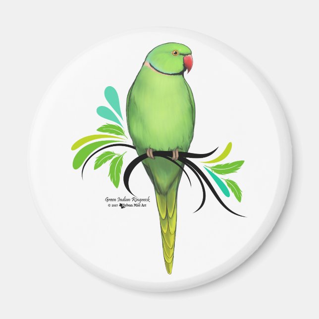 Grönt Indian Ringhead Parrot Magnet (Framsidan)