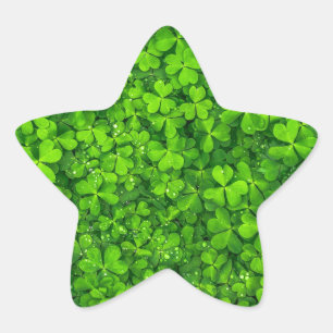 Grönt irländskt symbol Irland för Shamrockklöv Stjärnformat Klistermärke