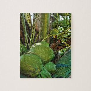 Grönt Island Coconuts Handflatan Träd Pussel