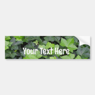 Grönt Ivy botaniskt utskrift Bildekal
