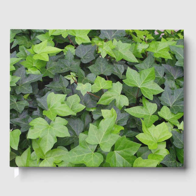 Grönt Ivy botaniskt utskrift Gästböcker (Framsida)