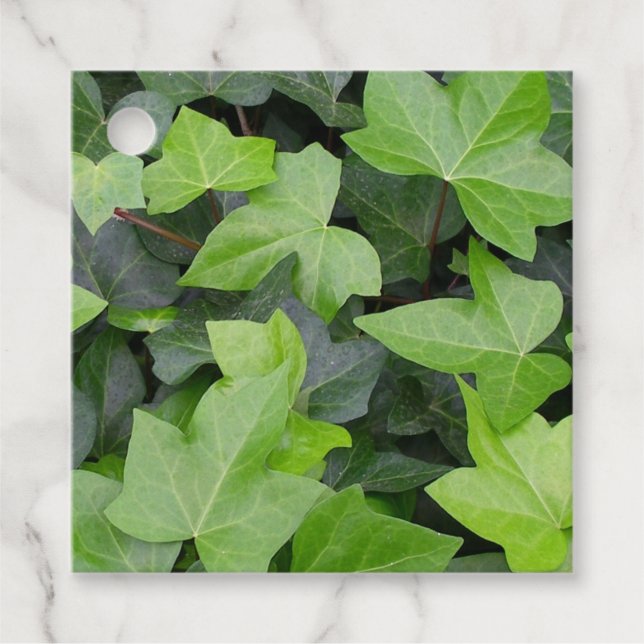 Grönt Ivy botaniskt utskrift Gåvor Etiketter (Framsida)