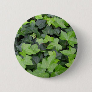 Grönt Ivy botaniskt utskrift Knapp