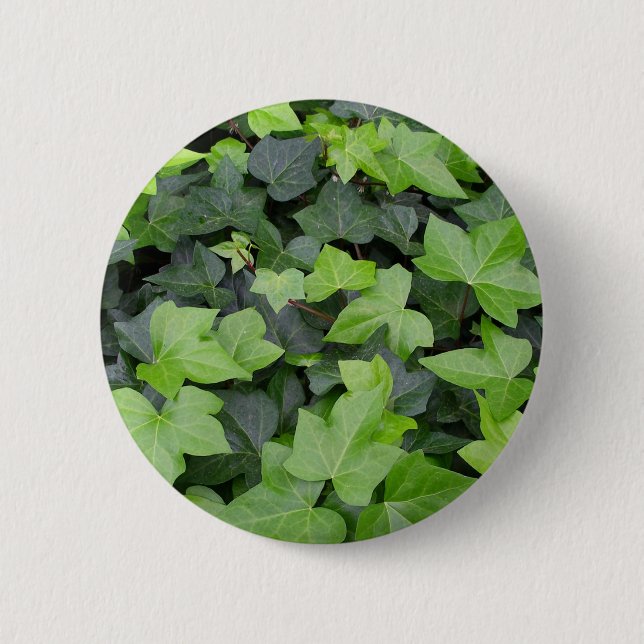 Grönt Ivy botaniskt utskrift Knapp (Framsida)
