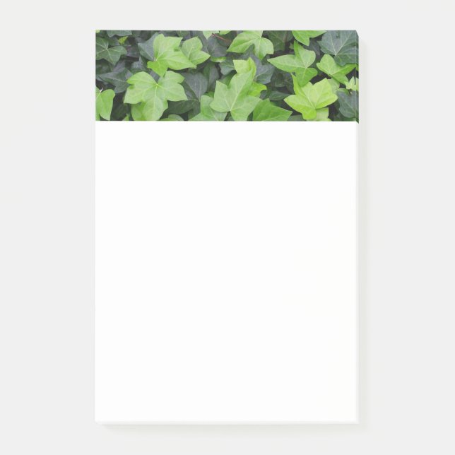Grönt Ivy botaniskt utskrift Post-it Block (Framsida)