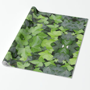 Grönt Ivy botaniskt utskrift Presentpapper