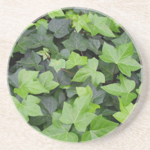 Grönt Ivy botaniskt utskrift Underlägg Sandsten