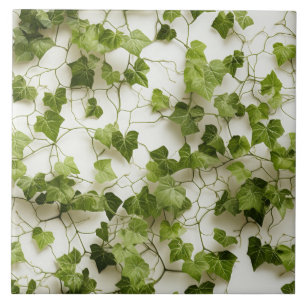 Grönt Ivy Wall, sömlösa botaniska illustrationer Kakelplatta