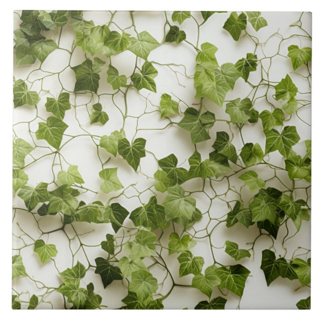 Grönt Ivy Wall, sömlösa botaniska illustrationer Kakelplatta (Framsidan)