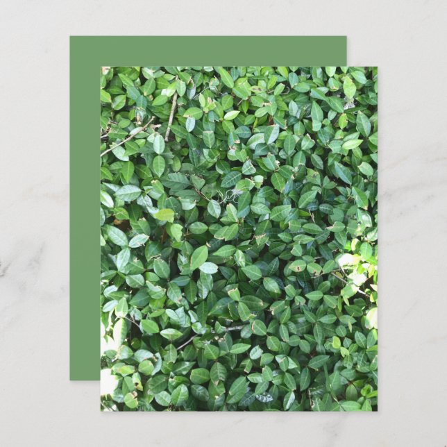 Grönt Jasmine Löv Sunlight Scrapbook Papper (Fram/baksida)