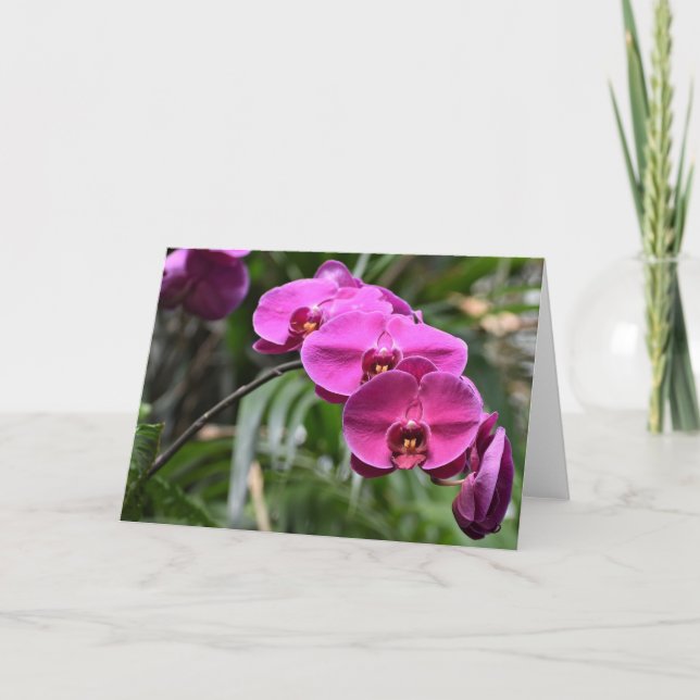 Grönt Jord, kort (Framsida)