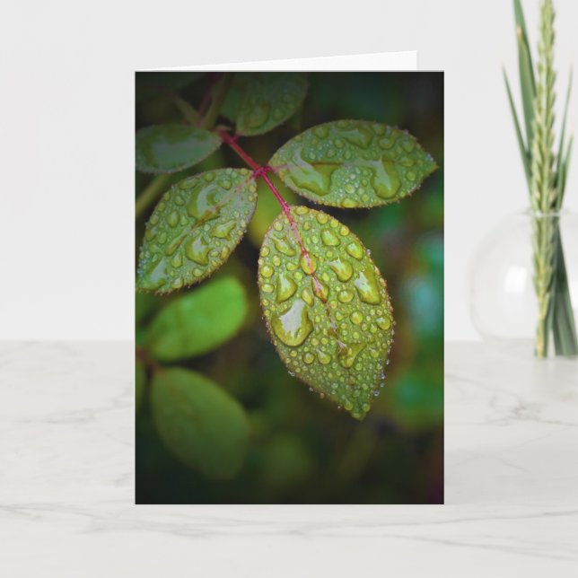 Grönt Jord, kort (Framsida)