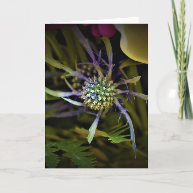 Grönt Jord, kort (Framsida)