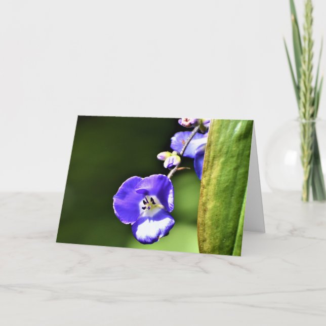 Grönt Jord, kort (Framsida)