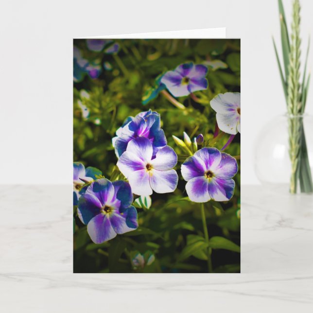 Grönt Jord, kort (Framsida)