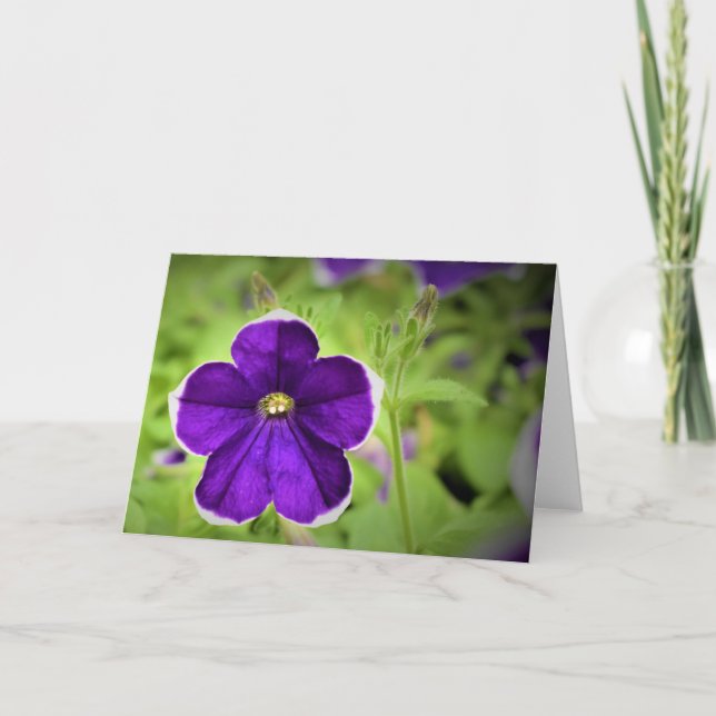 Grönt Jord, kort (Framsida)