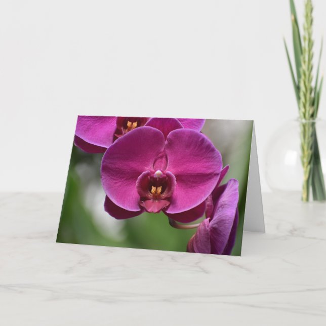 Grönt Jord, kort (Framsida)