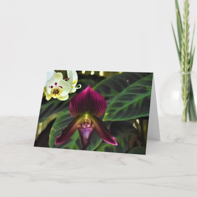 Grönt Jord, kort (Framsida)