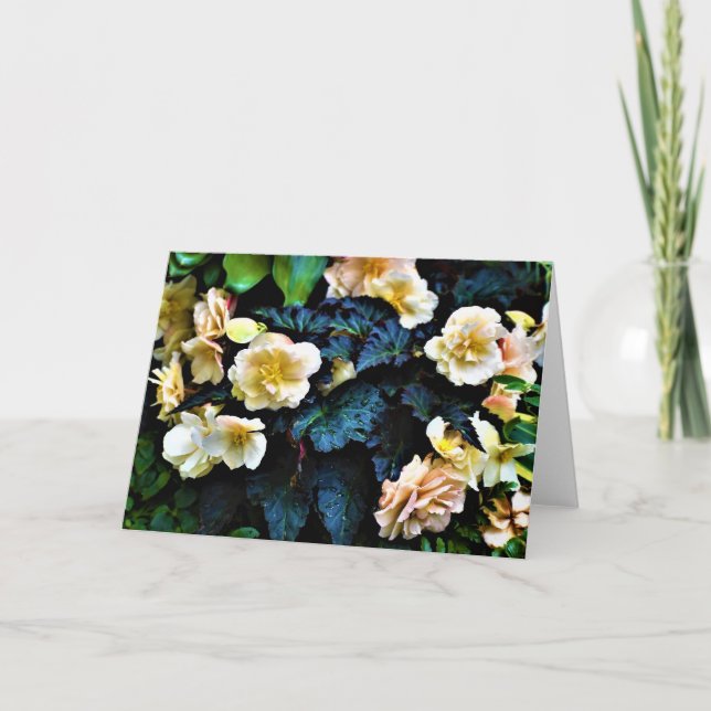 Grönt Jord, kort (Framsida)