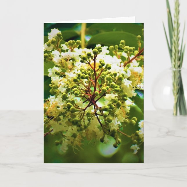 Grönt Jord, kort (Framsida)