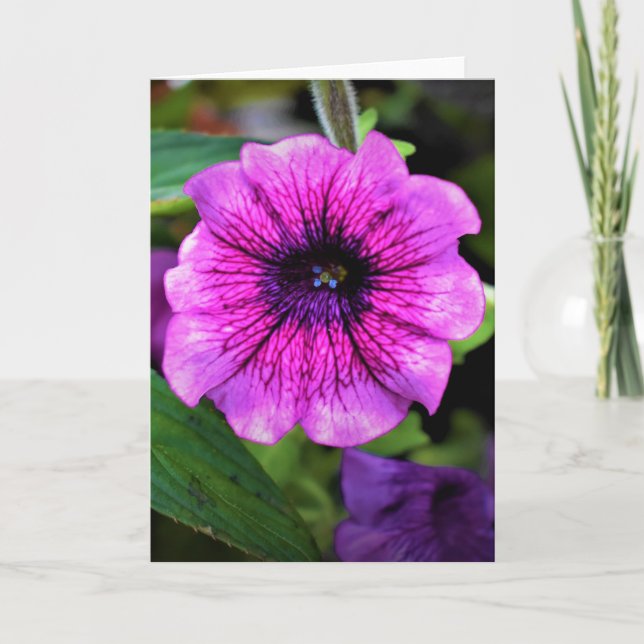 Grönt Jord, kort (Framsida)