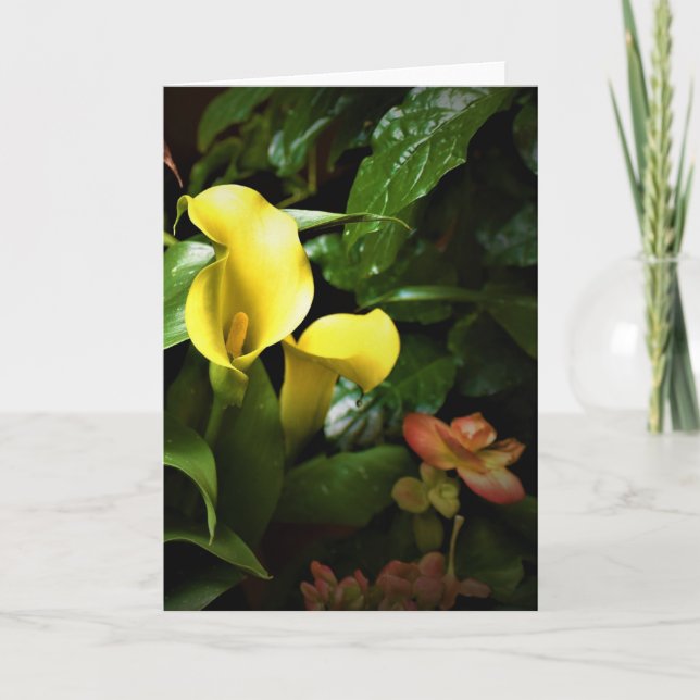 Grönt Jord, kort (Framsida)