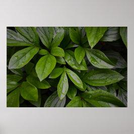 Grönt Jorden. Poster