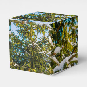 GRÖNT JULGRAN i SNÖ Presentaskar