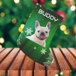 Grönt Julgranar Hund Pet Photo Liten Julstrumpa