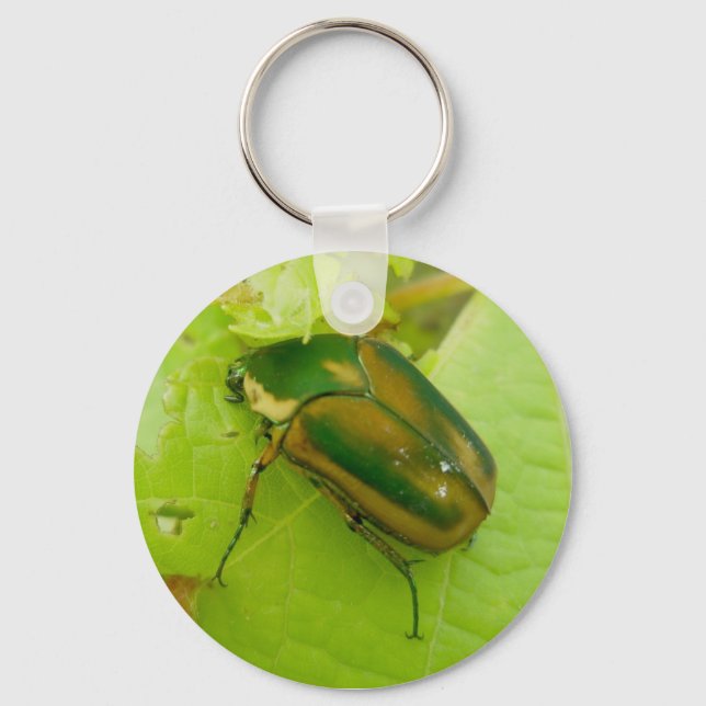 Grönt June Beetle Keychain Nyckelring (Framsida)