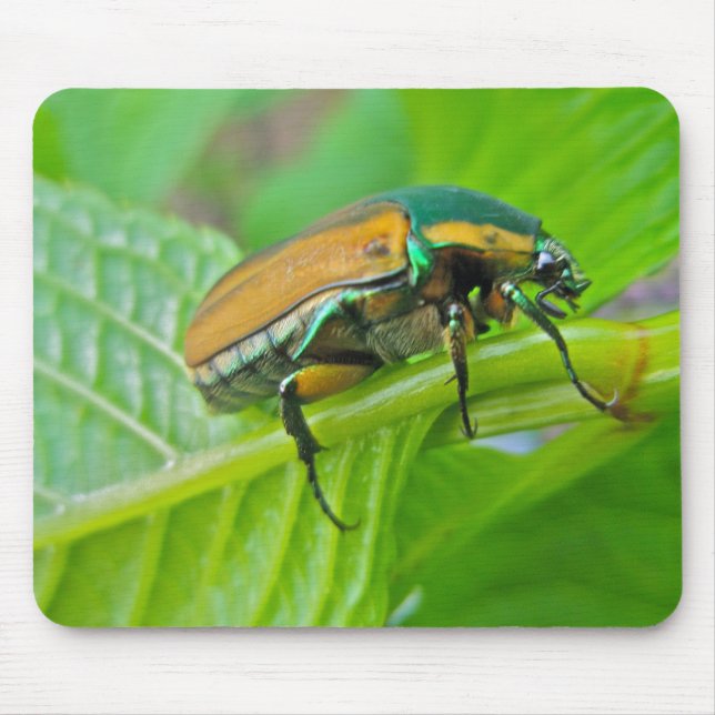Grönt June Beetle Mousepad Musmatta (Framsidan)
