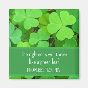 Grönt Klöver Photo Prosperity Bible Verse Cute Magnet