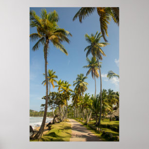 Grönt kokosnöt handflatan träd nära grönt gräs fäl poster
