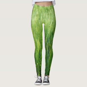 Grönt korn fält, vår closeup. leggings