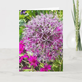 Grönt kort för Allium och sommarblommor