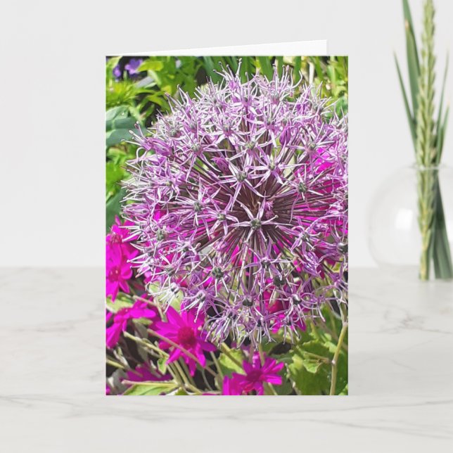 Grönt kort för Allium och sommarblommor (Framsida)