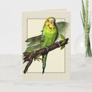 Grönt kort för Budgie konsthälsningar