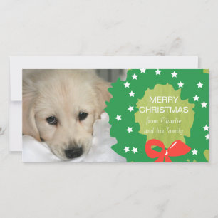 Grönt kort för foto för krangod julhund
