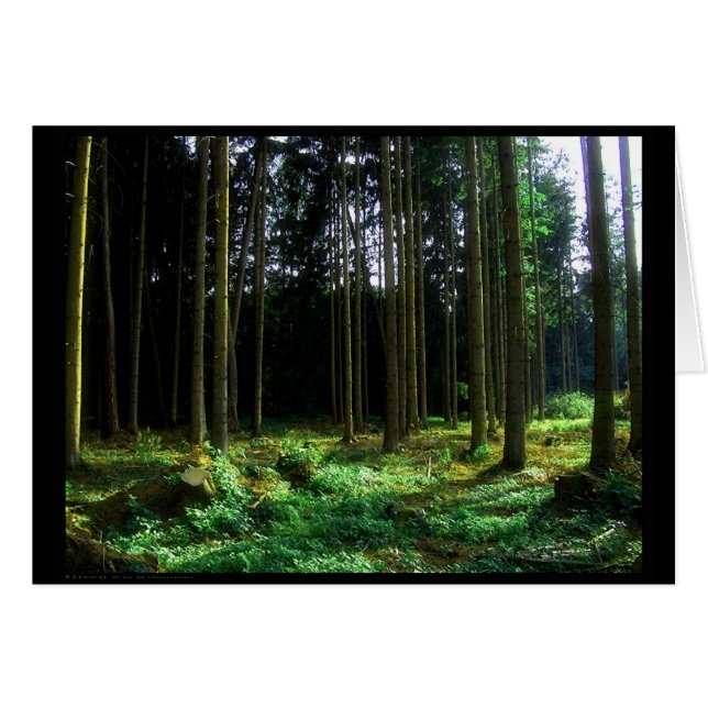 Grönt (kort) hälsningskort (Framsidan Horizontal)