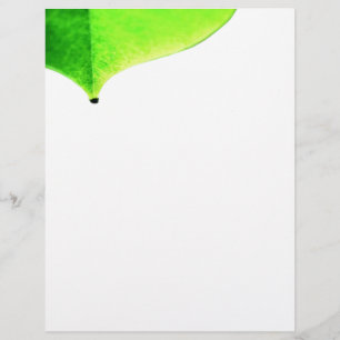 Grönt Lämna Flyer